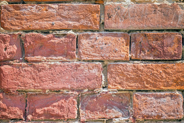 Compressed woodchip sheet background or texture.