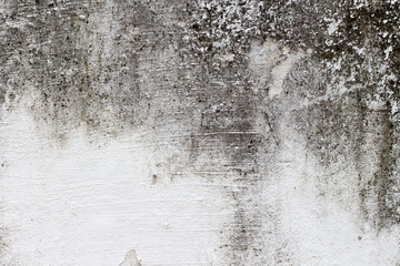 Obraz premium white concrete wall texture