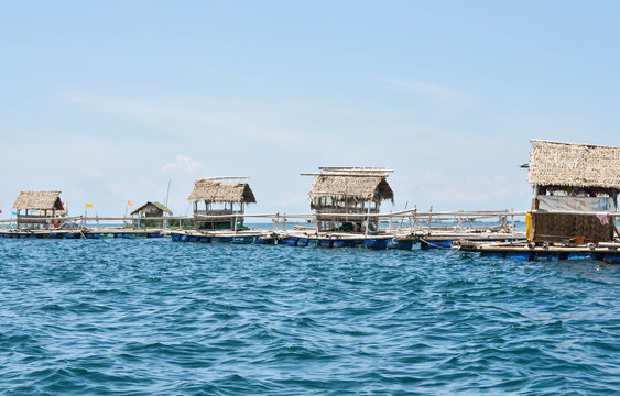 Floating fish cage or huts photo