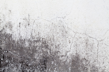 white concrete wall texture