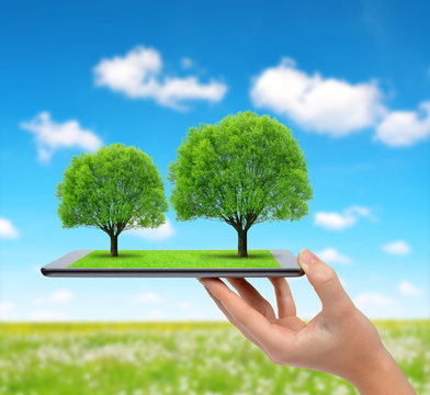 Hand holding tablet computer with trees