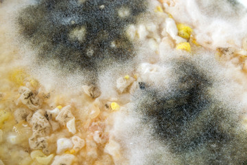 Mold on food and taxture and background