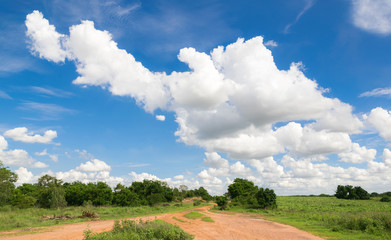 Dirt road heading into the wild for background or backgrop natur