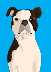 Dog vector on blue