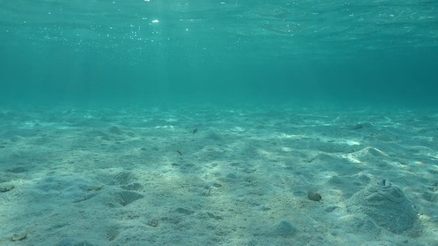 Sand underwater on shallow seabed with natural light through water surface, Moorea lagoon, Pacific ocean, French Polynesia

