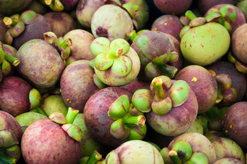 the fresh of raw mangosteen. queen of fruit