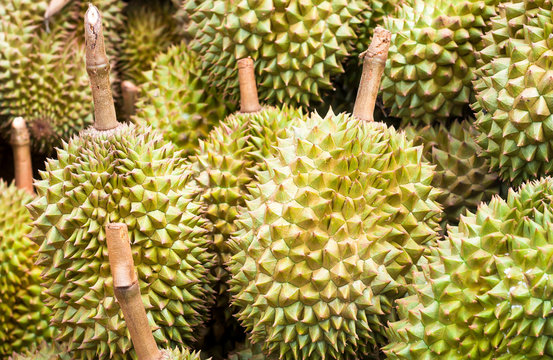 the pile of durain from garden in thailand market, king of friut