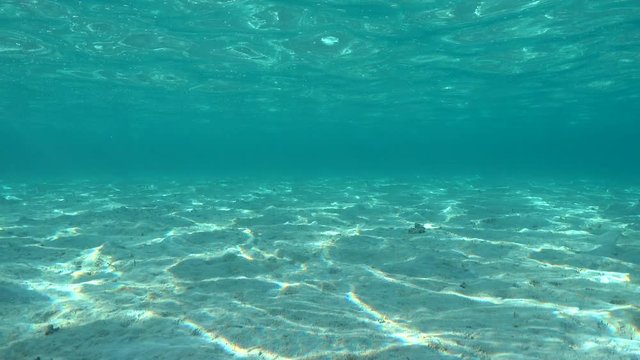 Underwater on a shallow sandy seabed with ripples of water surface, natural scene, Pacific ocean, French Polynesia
