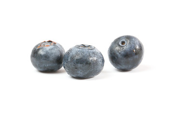 Fresh Ripe Blueberry