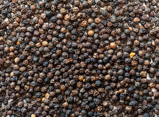 Black pepper background