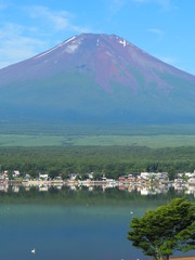 夏富士　富士山