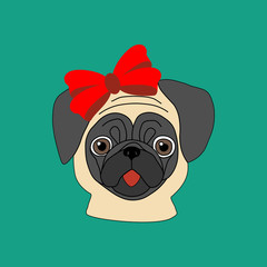 Pug with bow illustration