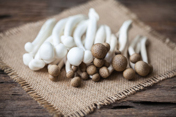 shimeji mushrooms on sackcloth and wooden background