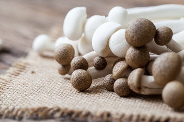 shimeji mushrooms on sackcloth and wooden background