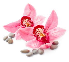 Obraz na płótnie Canvas Orchid flowers with stones