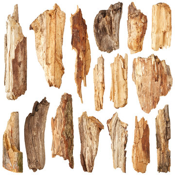 Fototapeta Part of trunk. Set