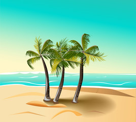 Naklejka na ściany i meble palm trees on the beach against the blue sea