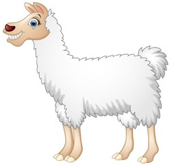 Cute alpaca cartoon