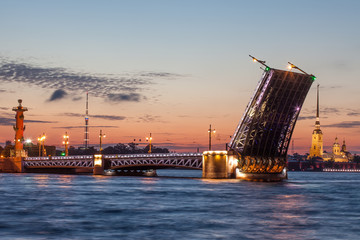 Fototapeta na wymiar Open Palace bridge, Peter Paul Cathedral white night. Saint Petersburg