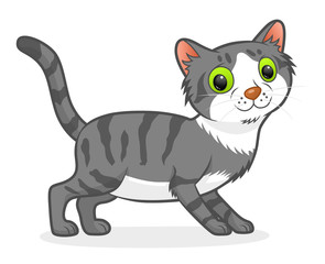 Fototapeta na wymiar Cartoon striped cat