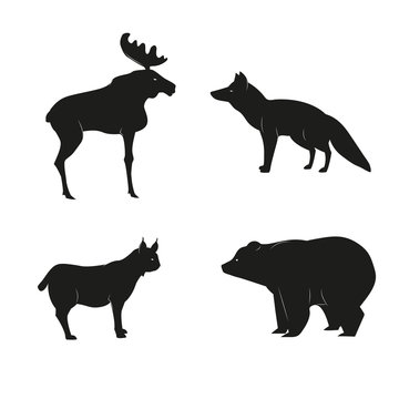 Hand Drawn wilderness animals in rustic style