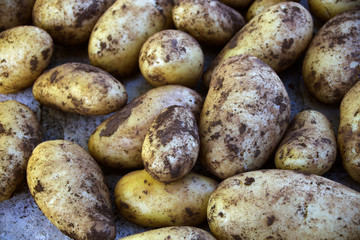 Organic dalmatian potatoes