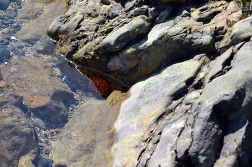 rock detail and the sea water in summer