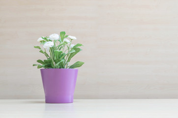 Closeup artificial plant with white flower on purple pot on blurred wooden desk and wall textured background in the meeting room under window light