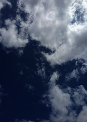 Indigo sky with white cloud