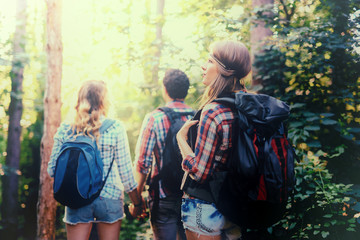 People trekking in forest