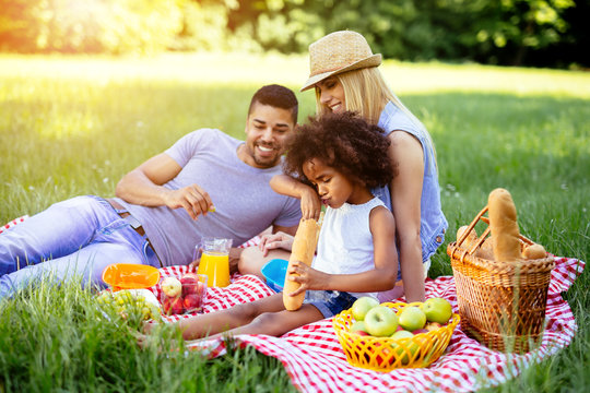 Family enjoying picnic outing