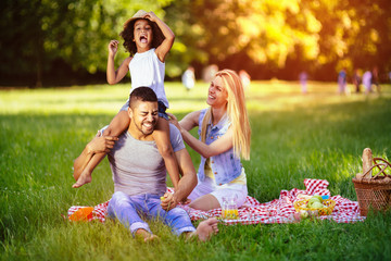 Family enjoying picnic outing