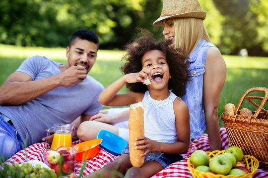 Family enjoying picnic outing