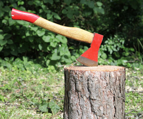 Chopping wood