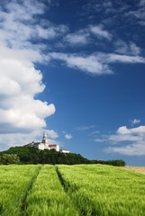 Fototapeta na wymiar Spring landscape of Benedictine Pannonhalma Archabbey, Hungary