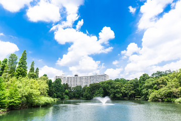 東京　井の頭公園