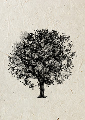 Drawing  tree maple on a beige rice paper. Black silhouette on a beige rice paper. Graphic arts.