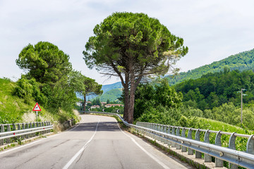 road in the hills of Tuscany, Italy