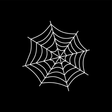 spider web art