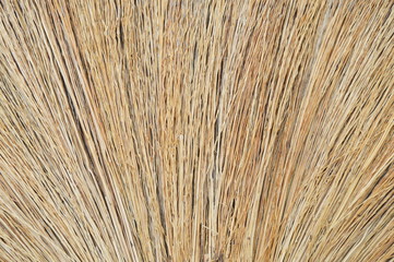 broom grass texture and background
