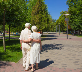 The happy old couple in the summer on a walk