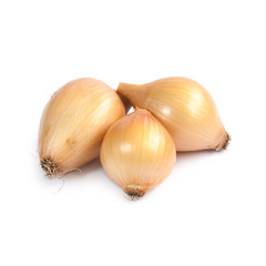 Onions isolated on white background