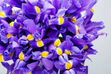Iris flowers background, spring floral patern.