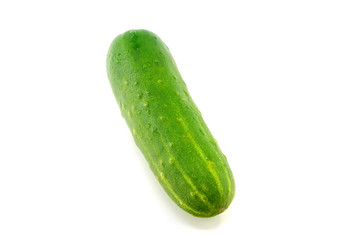 夏野菜 きゅうり