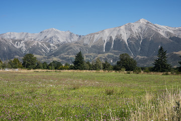 Obraz premium Southern Alps seen from Springfield railway station.