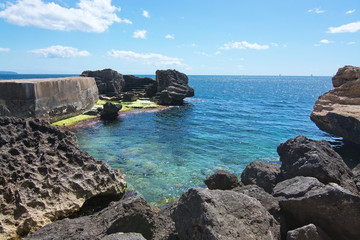 Rocky landscape with green seagrass