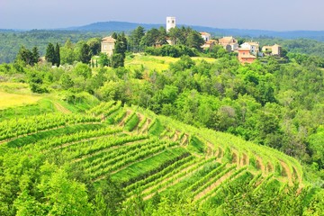 Beautiful village Oprtalj in Istria, Croatia