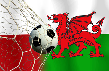 Football teams Poland and Welsh.