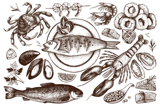 Vector Seafood set. Hand drawn sea food sketch collection - fresh fish, lobster, crab, oyster, mussel, squid and spice. Vintage fish dishes illustration. Seafood outlines.