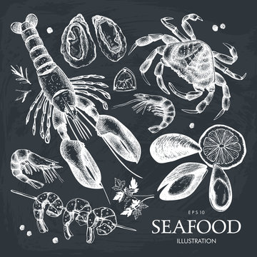 Vector Seafood set. Hand drawn sea food sketch collection - fresh fish, lobster, crab, oyster, mussel, shrimps and spice. Vintage fish dishes illustration. Seafood menu on chalkboard